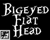 ~F~ Big Eyed Flat Head