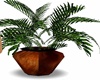 (J0) Animated Plant