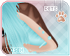 [Pets] Dexi | ears v3