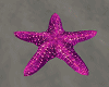 Star Fish Ocean anim