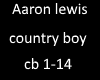 Aaron Lewis country boy