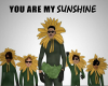 My Sunshine Vday Card