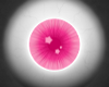 [2709]PinkBlur Eyes (F)
