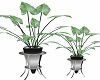Steel Potted Anthurium 3