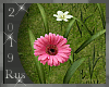 Rus: Flower Garden 5