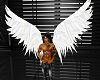 GOTHIC ANGEL WINGS