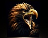 Eagle Head 3