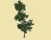 CS Tree 2 anim