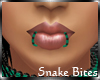 *LMB* Blk&Teal Snake Bts