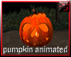 HALLOWEEN pumpkin