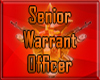 Army Snr Warrant Officer