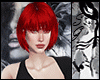 SG Encaje Rojo Bundle