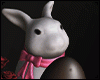 Easter Bunny Chocolate