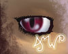 [AMW] AMW Eyes