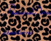DIVIDENxCEOxDTP