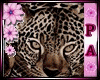 [PA] Leopard Sexy XXL