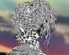 snow leopard hair