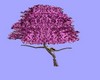 Blossoming tree w/poses