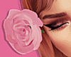 Rose | Pink BUNDLE