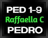 Raffaella C Pedro