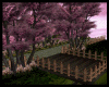 [RM]Romantic Forest Path