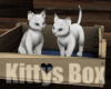 *Kittys Box