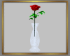 Solitary Rose in Vase