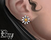 [Bw] Daisy earrings