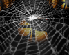 Spider Web Rug/Deco.