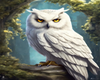 owl wall art