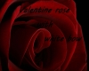 the beauty of love rose