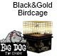 [BD] Black&Gold Birdcage