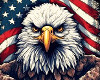 USA Eagle Sticker