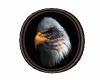 SD American Eagle 2
