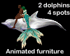 2dolphins ride 4spotsANI