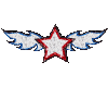 Glitter Star/Wings