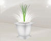 Office Flower Pot