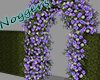 Hedge Arc Purple Lilies