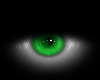 {RKL} Green Eye (F)