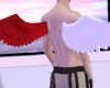 Red & White Wings M/F
