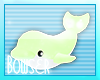 ♫ Seaweed Dolphin