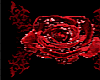 red rose