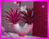 Romantic Valentin Plant