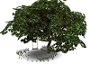 ANIMATED SWING TREE