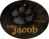 Team Jacob Button