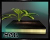 SAL~ [D/N] Plant Pot v2