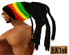 Reggae Hair