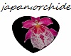 japan orchidee rug 