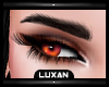 L|| Lux Black Eyebrows