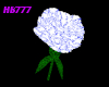 HB777 RoyalWed Carnation
